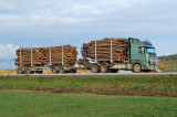 Dostawy biomasy z drewna pod lupą Urzędu Regulacji Energetyki