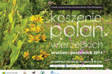 Czynna ochrona bioróżnorodności na Polanach Wierzejskich