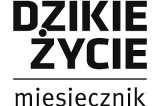 Perturbacje z ochroną gatunkową Z Andrzejem Kepelem rozmawia Grzegorz Bożek