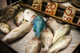 Nadmierne połowy zagrażają rybiej różnorodności