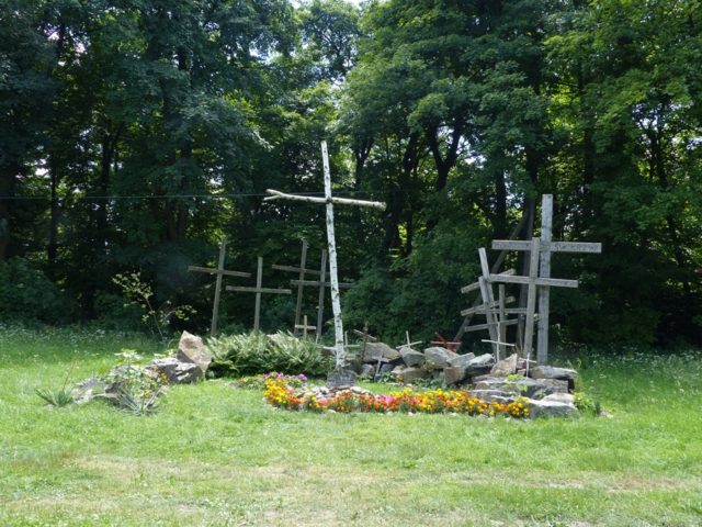 więtokrzyski Park Narodowy, Łysiec (Święty Krzyż. . Rabatki z wprowadzonymi gatunkami obcymi