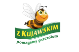 Polacy nie doceniają pszczół – ogólnopolskie badanie pokazuje, jak niewiele wiemy na temat zapylaczy!