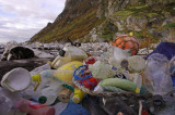 Plastik – jedna z największych  katastrof środowiska naturalnego
