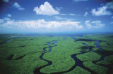 Zadrzewione kępy w Everglades skutkiem prehistorycznej działalności ludzkiej