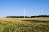 Stanowisko Greenpeace w sprawie elektrowni wiatrowych